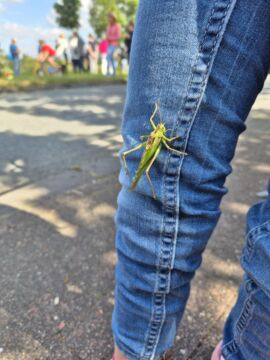 Oh, da wollte uns jemand begleiten 