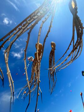 Windspiele in Texel - wunderschön anzusehen