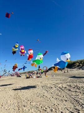 Windspiele in Texel - wunderschön anzusehen